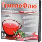ГриппоФлю со вкусом клюквы пакеты Nº10